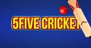 Five-over cricket game artwork